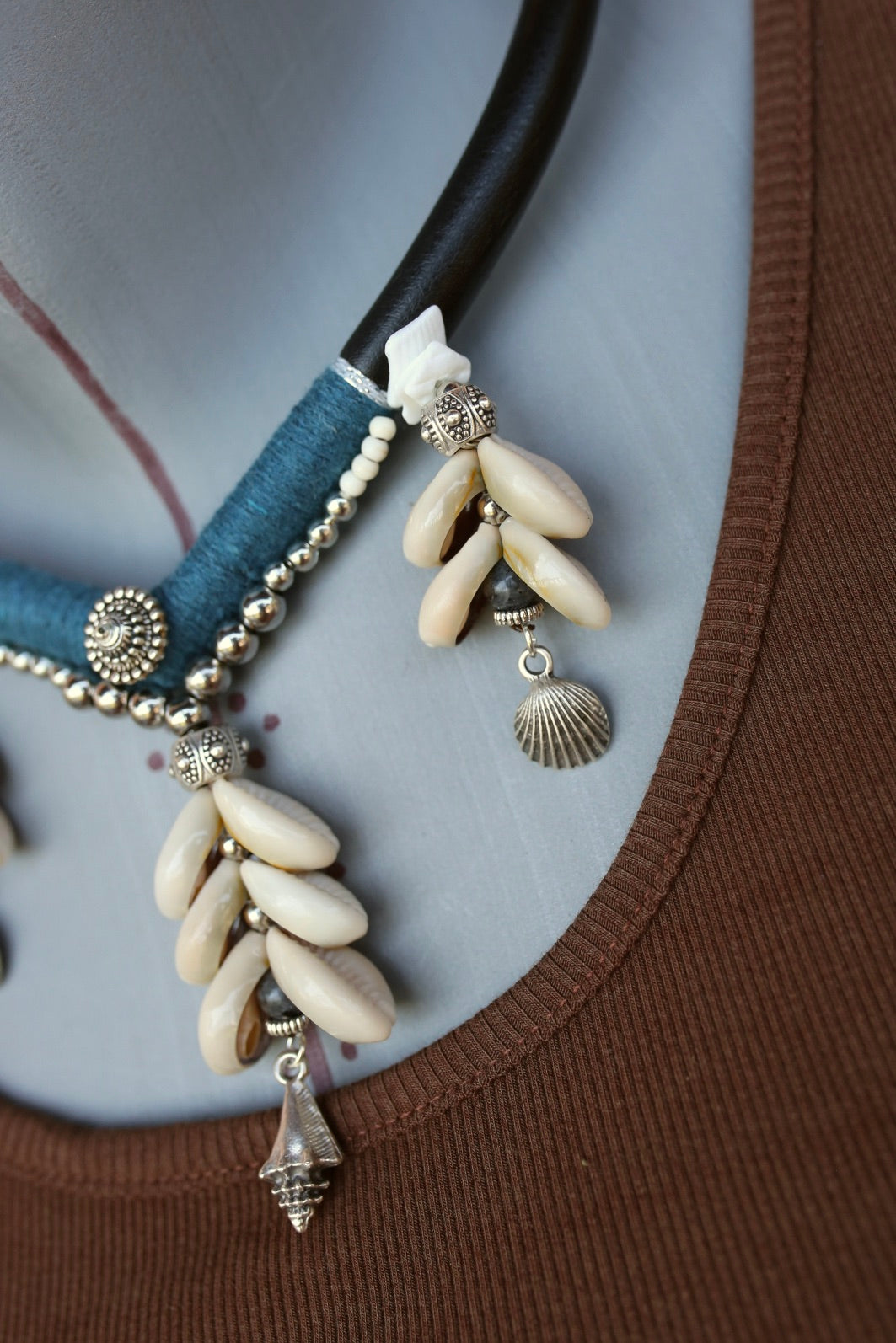 Coquillages du Large