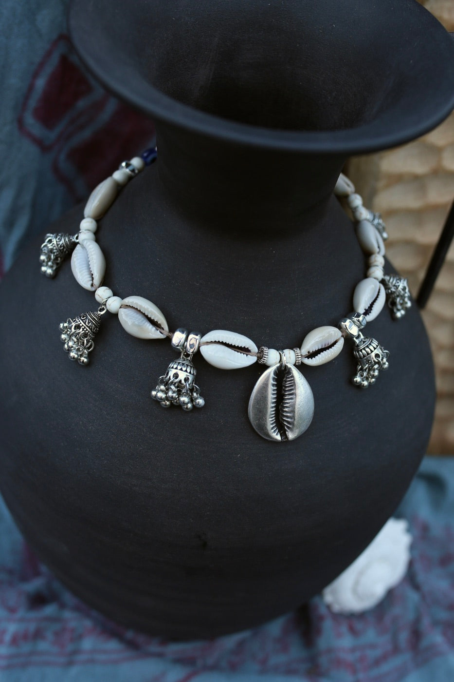 Ocean Cowrie