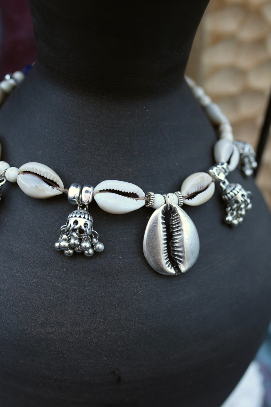 Ocean Cowrie