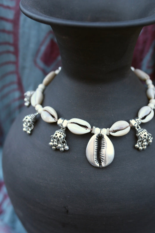 Ocean Cowrie